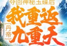 小说《丹帝：夺回神秘玉碟后，我重返九重天》在线章节阅读-锤石文学