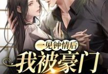 一见钟情后,我被豪门总裁强娶了江折雪宣郁小说免费阅读-锤石文学