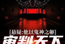 完结版《悬疑：他以鬼神之躯，审判天下罪恶》章节目录在线阅读-锤石文学