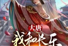 完结版《大唐：我和长乐灵魂互换了！》章节阅读-锤石文学