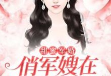 甜蜜军婚：俏军嫂在八零赚麻了免费阅读，甜蜜军婚：俏军嫂在八零赚麻了苏染陆衡-锤石文学