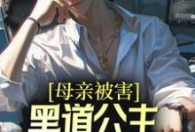 完结版《母亲被害，黑道公主扶我登高位》在线免费阅读-锤石文学