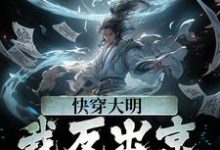 完结版《快穿大明：我反出京师对抗皇帝》在线免费阅读-锤石文学