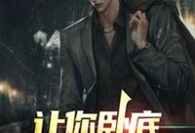 完结版《让你卧底，没让你当老大》章节阅读-锤石文学