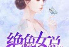 完结版《绝色女总裁的全能保镖》在线免费阅读-锤石文学