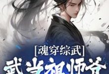 完结版《魂穿综武：武当祖师爷出山了》章节阅读-锤石文学