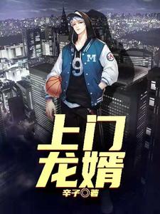 完结版《上门龙婿》在线免费阅读