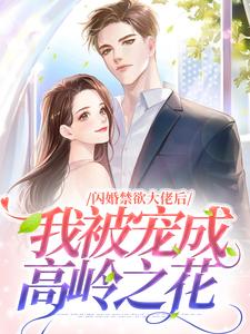 小说《闪婚禁欲大佬后，我被宠成高岭之花》章节阅读