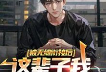 《被无缝衔接后，这辈子我选魅魔学姐》全集免费在线阅读（江言林软苏）-锤石文学