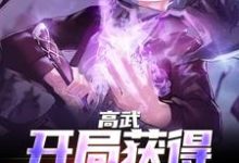 完结版《高武：开局获得氪命系统》章节阅读-锤石文学