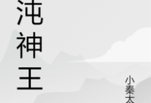 混沌神王小说有没有完整的免费版本在线阅读？-锤石文学