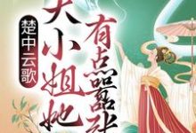 小说《楚中云歌：大小姐她有点嚣张》章节免费阅读-锤石文学