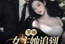 笑死，女主她追到一半不追了最新章節，笑死，女主她追到一半不追了免費閱讀-錘石文學