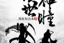 已完结小说《绝世神瞳》在线章节阅读-锤石文学