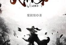 已完结小说《武林第一》章节在线阅读-锤石文学