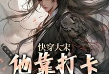 完结版《快穿大宋：他靠打卡领取奖励》在线免费阅读-锤石文学