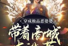 小說《穿成極品惡婆婆，帶著商城去逃荒》在線章節閱讀-錘石文學