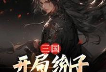 《三国：开局统子向我投靠》小说章节在线试读，《三国：开局统子向我投靠》最新章节目录-锤石文学