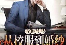 完结版《青梅竹马：从校服到婚纱从来只有你》章节目录在线阅读-锤石文学