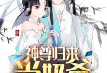 小說《神尊歸來當奶爸》在線章節閱讀-錘石文學