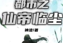 完结版《都市之仙帝临尘》章节目录在线阅读-锤石文学