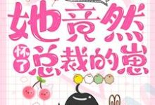 完结版《一夜情后，她竟然怀了总裁的崽》章节阅读-锤石文学