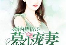 慕少宠妻甜蜜蜜最新章节，慕少宠妻甜蜜蜜免费阅读-锤石文学