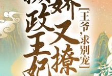 完结版《摄政王妃娇又撩：王爷，求别宠！》章节阅读-锤石文学