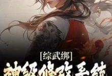 完结版《综武绑神级修改系统，我以武道修仙》在线免费阅读-锤石文学