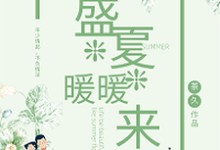 小说《盛夏暖暖来》在线章节阅读-锤石文学