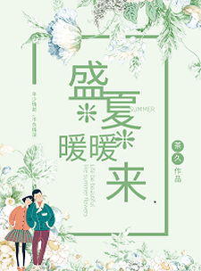 小说《盛夏暖暖来》在线章节阅读