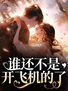 誰還不是開飛機的了小說閱讀，誰還不是開飛機的了完結版