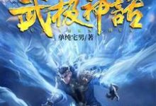 完结版《武极神话》章节阅读-锤石文学