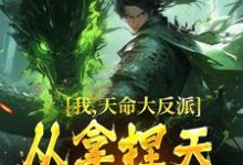 我，天命大反派，从拿捏天道开始章节免费在线阅读，紫霄完结版-锤石文学