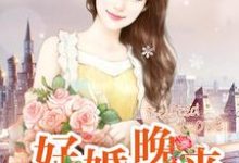 好婚晚来章节免费在线阅读，晓苏江于晏完结版-锤石文学