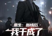 重生：断情后，我干成了商业大亨免费阅读，重生：断情后，我干成了商业大亨章节目录-锤石文学