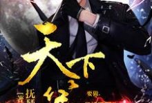 完结版《天下第一》免费阅读-锤石文学