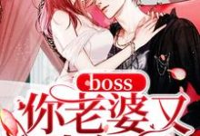 完结版《boss你老婆又生气了》章节阅读-锤石文学