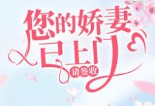 韩星陆听闻小说叫什么（您的娇妻已上门，请签收免费阅读）-锤石文学