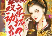 完结版《天才弃妃：王妃又轰动京城了》在线免费阅读-锤石文学