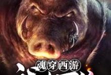 完结版《魂穿西游：我有万倍暴击系统》在线免费阅读-锤石文学