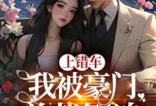 上错车,我被豪门总裁倒追小说的所有章节都能在哪里免费读到?-锤石文学