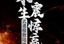 武道极致陆地神仙，永生震惊嬴政这本小说完结了吗？免费查看最新章节-锤石文学