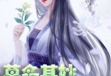 完结版《莫名其妙世子妃》免费阅读-锤石文学