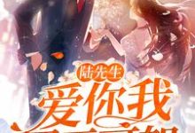 《陆先生，爱你我罪无可恕》小说章节在线试读，《陆先生，爱你我罪无可恕》最新章节目录-锤石文学