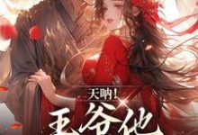 完结版《天呐！王爷他还在追妻》章节阅读-锤石文学