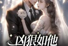 兇狠如他，卻對我柔情免費閱讀，兇狠如他，卻對我柔情章節在線閱讀-錘石文學