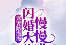 宠妻路漫漫，闪婚大佬慢慢哄季娴杭墨深小说免费阅读-锤石文学