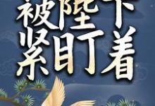 完结版《小太监她被陛下紧盯着》章节目录在线阅读-锤石文学