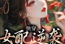 沈帷秦书瑜小说《快穿：女配逆袭专业户》在线阅读-锤石文学